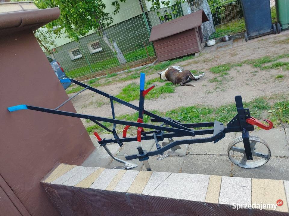 Opielacz konny Ozdobny podlaskie Raczki