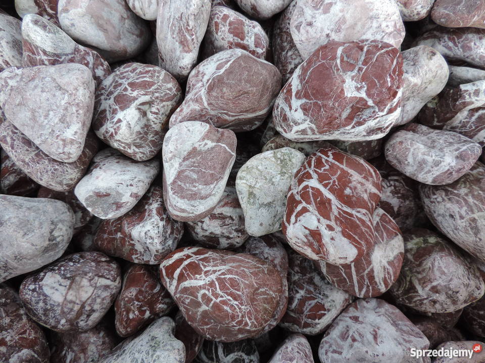 OTOCZAK ATLAS RED BOBREK koło OŚWIĘCIMIA małopolskie