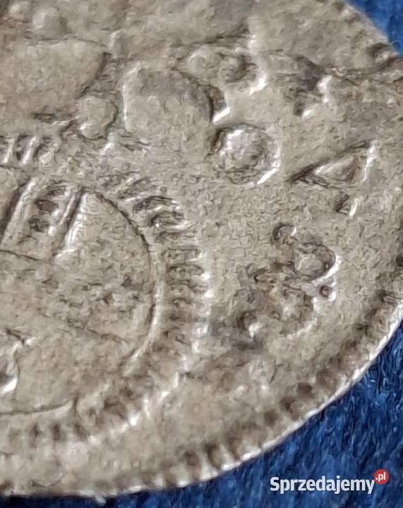 3 fenigi śląskie 1704 Leopold I srebro Wejherowo