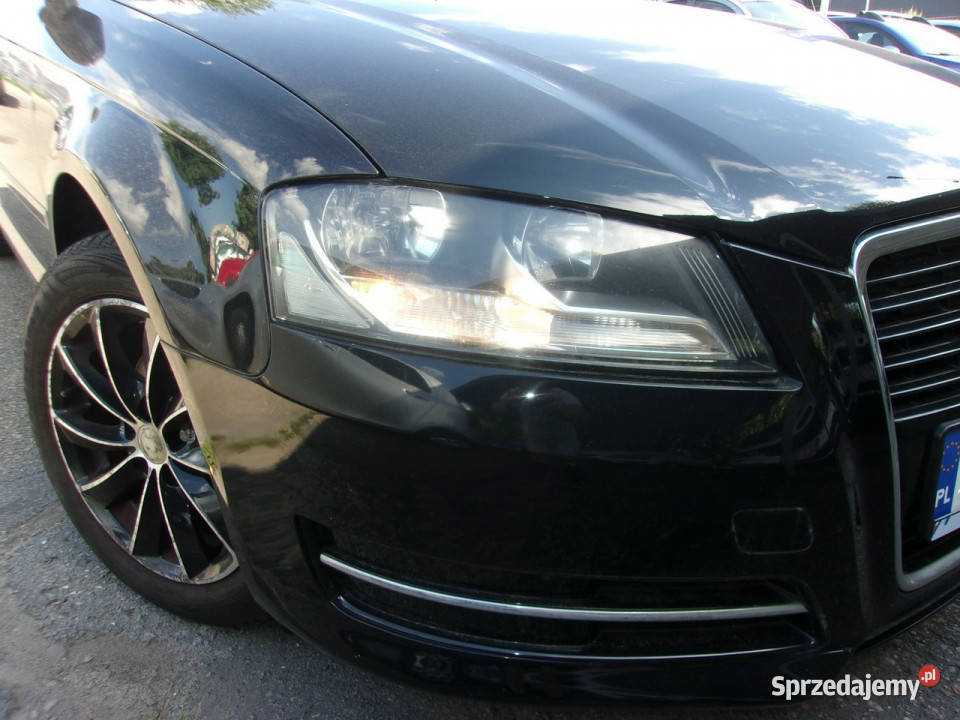 Audi A3 5 Drzwi PoLift 16 Mpi 102 Attraction Audi śląskie Cieszyn