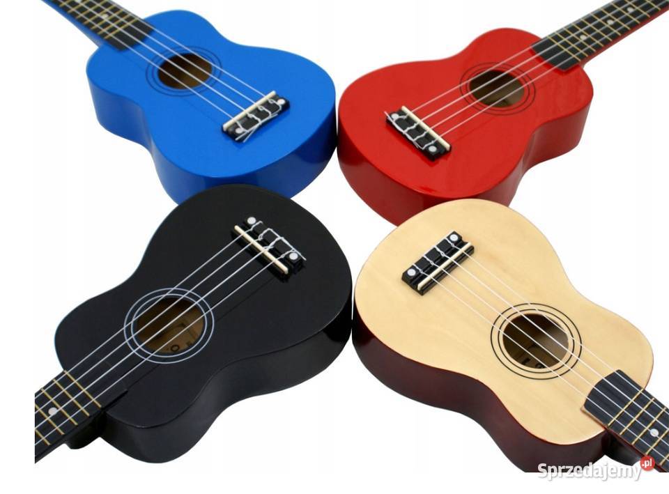 Drewniane UKULELE ECHO AŻ 11 KOLORÓW Okazja małopolskie Nowy Sącz