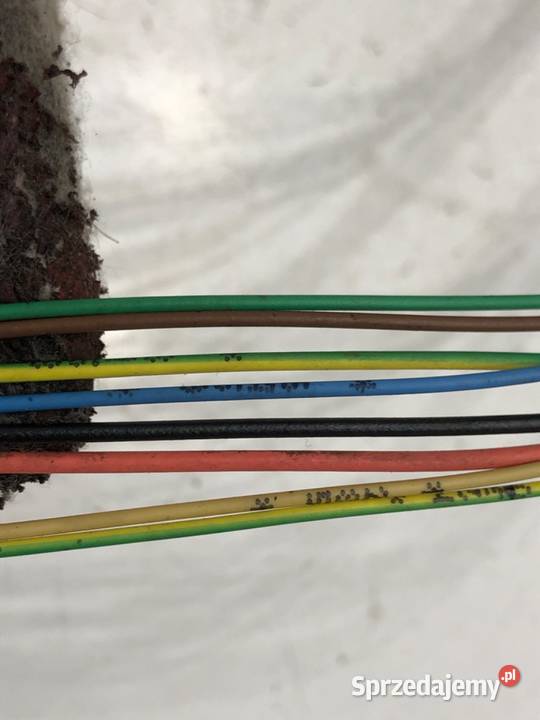 LUSTERKO PRAWY CITROEN C4 I Hatchback 0414