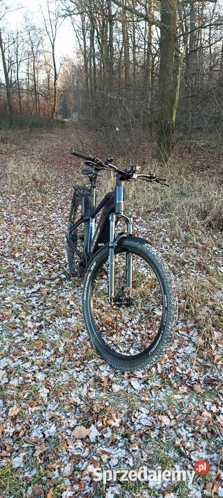 Rower Ecobike rx500suv Byczyna