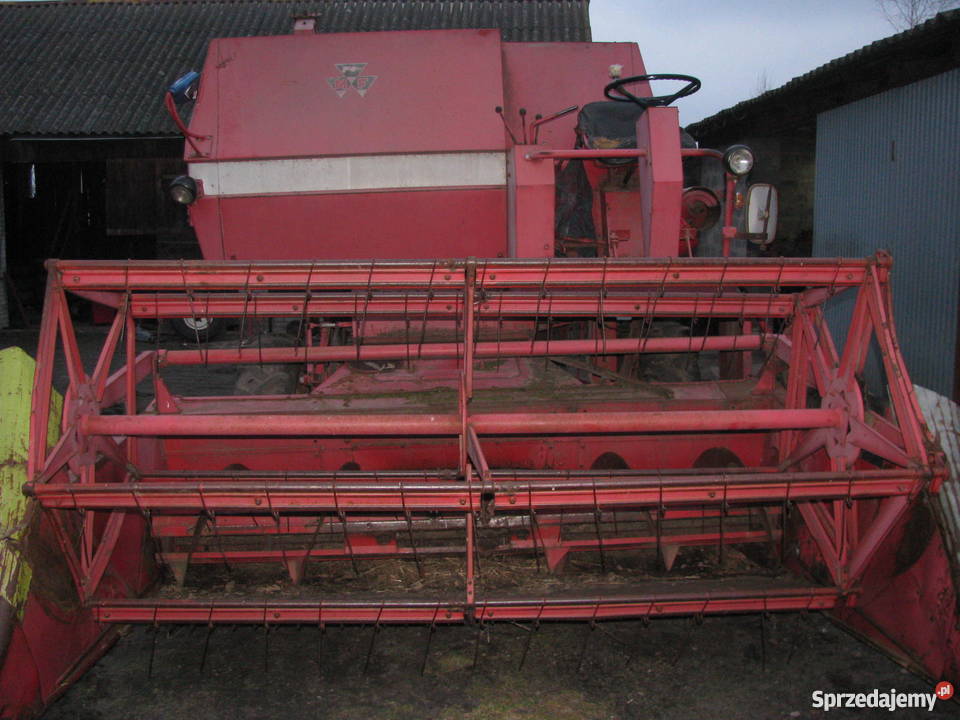Massey Ferguson 86 87 307 487 506 507 520 530 świętokrzyskie sprzedam