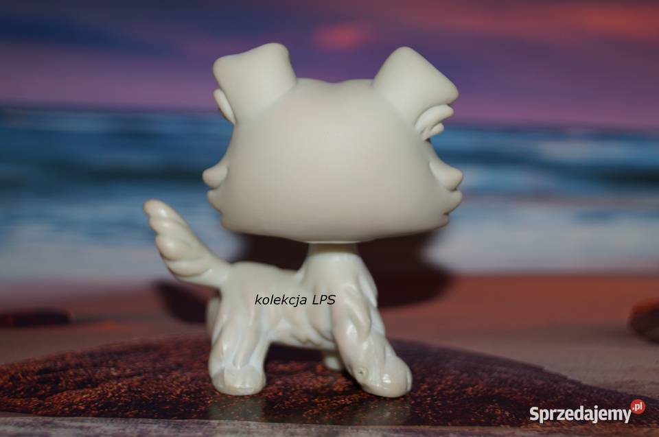 LPS collie 363 UNIKAT oryginalny Littlest Pet Rybnik sprzedam