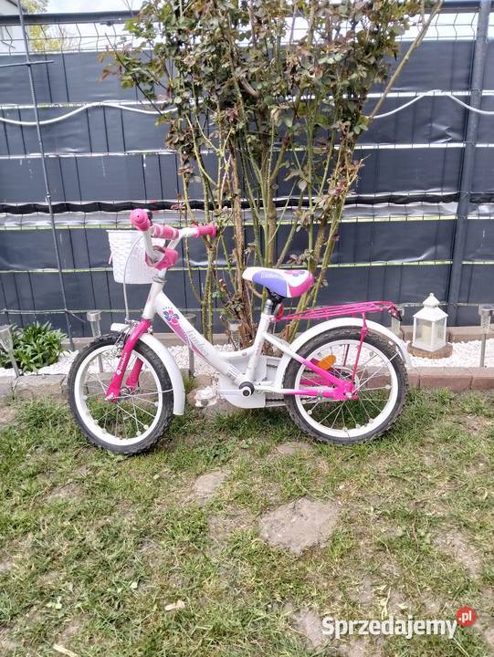Rowerek dziecięcy Retków