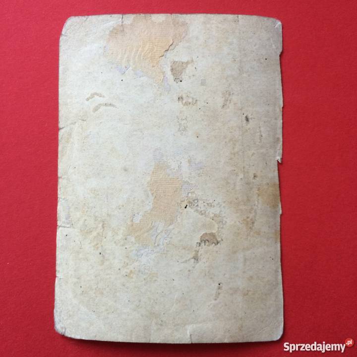 1175 Niemieckie Zdjęcie zachodniopomorskie sprzedam