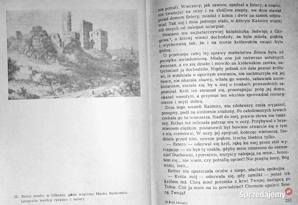 Król chłopów Czasy Kazimierza Wielkiego Józef Rok wydania 1970 Chełm