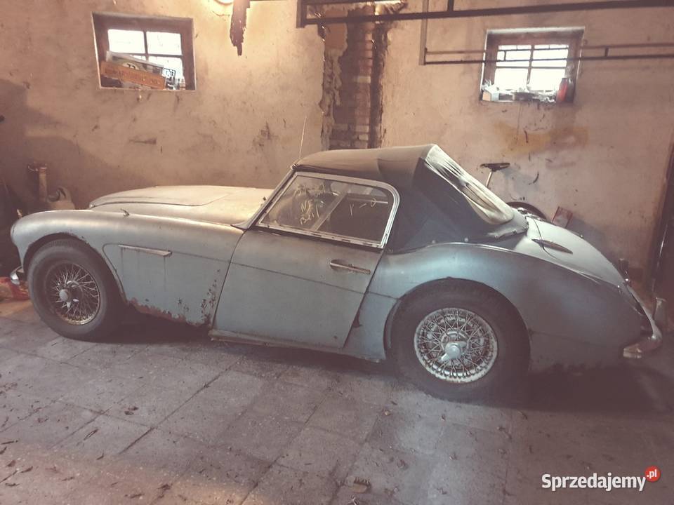 Austin Healey