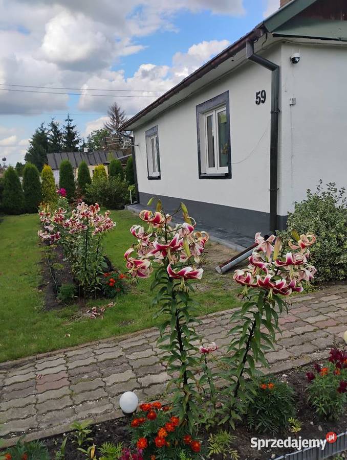 Sprzedam dom Sprzedaż Nieruchomości Kobyle