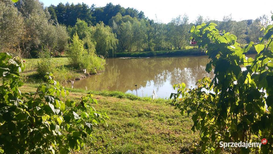Działka utwardzona lubuskie Sulechów