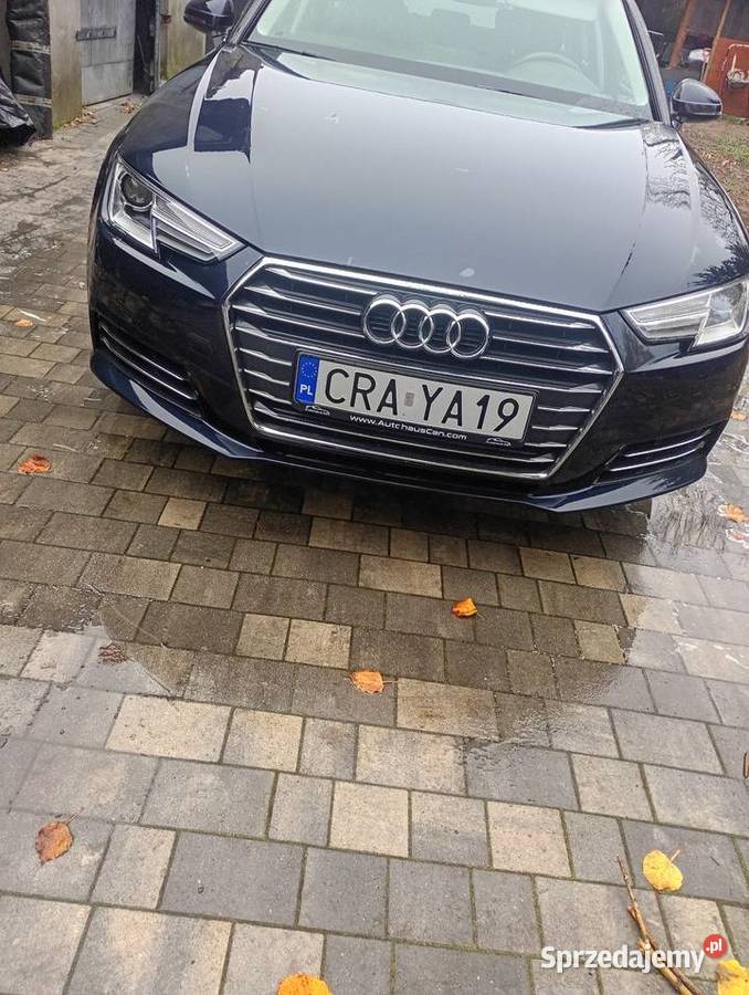Audi a4 B9 20 TDI 190 stronic Kramsk sprzedam