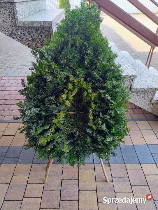 Wieńce wiązanki stroisz jodłowy Lublin