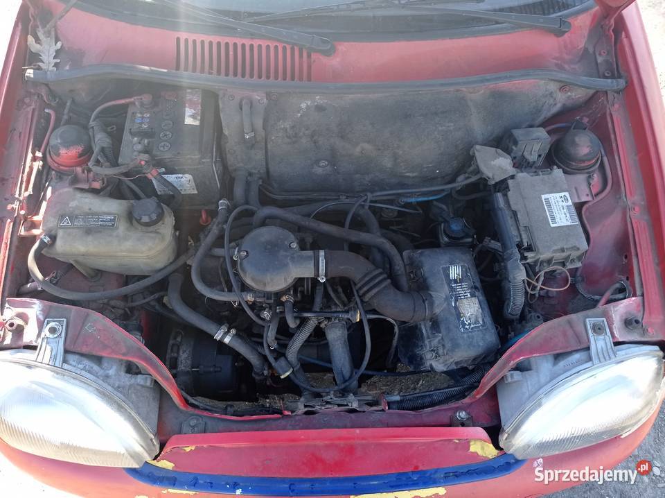Fiat Seicento 09 39 kW 1999 r dawca części Samochody na części wielkopolskie Szklarka Myślniewska