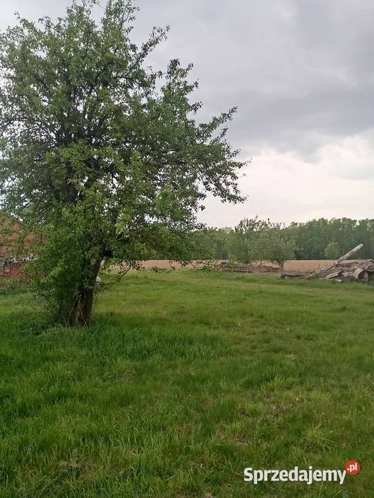Gospodarstwo rolne działka agroturystyka