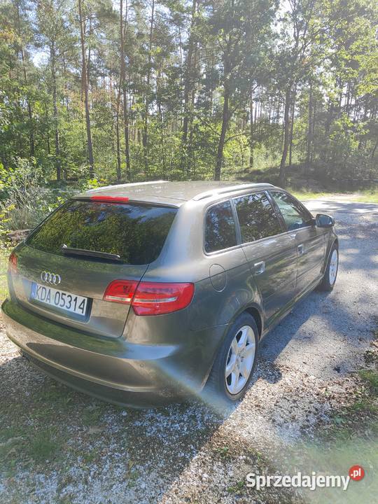 Audi A3 8P TDI 2012r bez wkładu potwierdzony diesel Audi Szczucin
