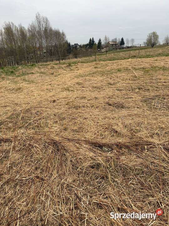 Na sprzedaż działka rolna 31 ar Malawa 3200m2
