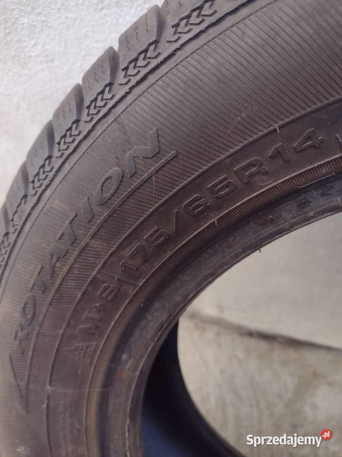 Opona Dębica frigo 1756514 Sanok