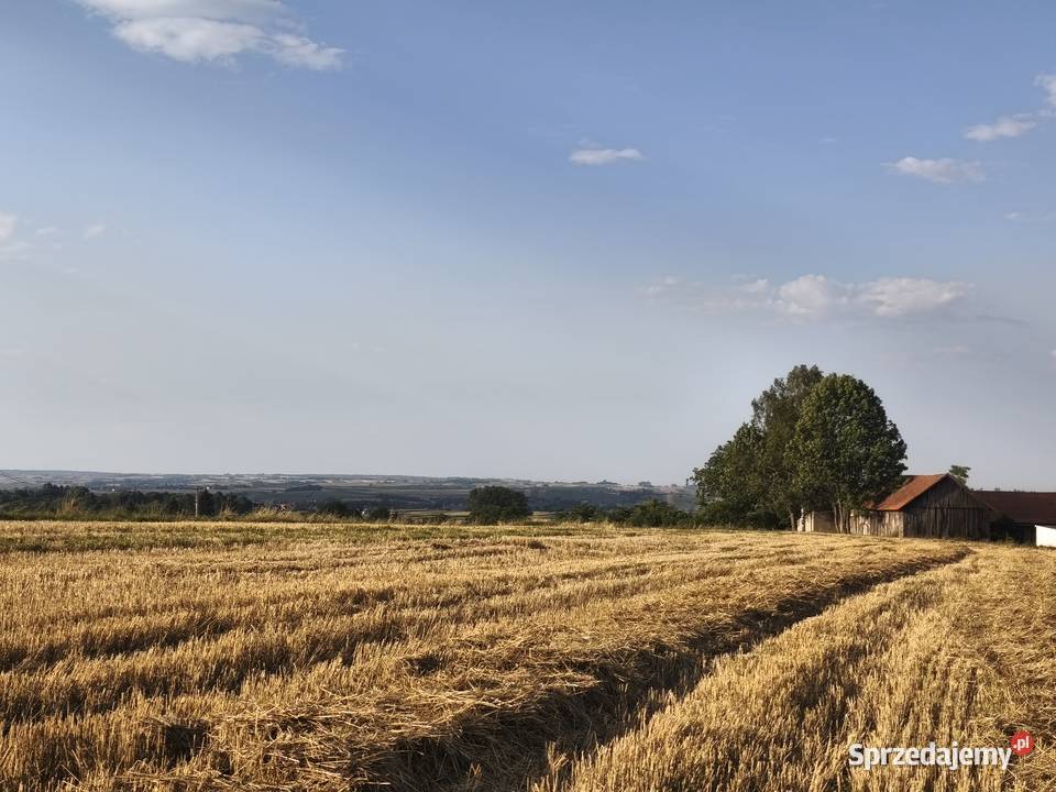 NA Sprzedaż DZIAŁKA ROLNA W ŁYCZAKOWIE Łyczaków sprzedam