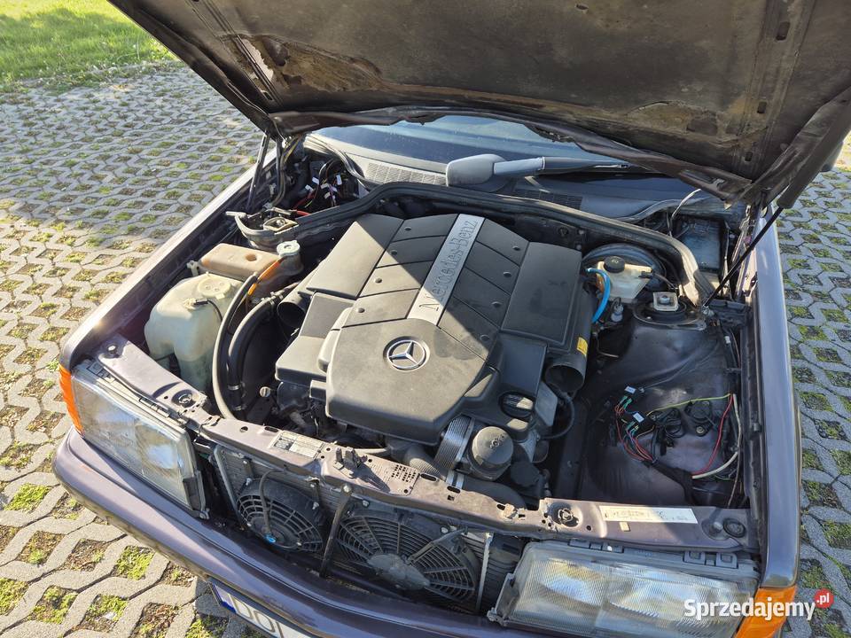 MercedesBenz w201 190E 50 V8 AMG manual benzyna Oleśnica