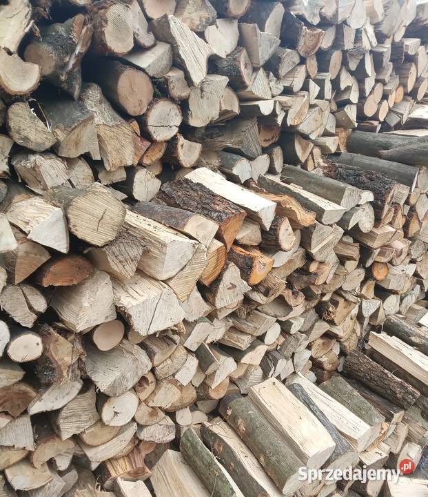 Drewno opałowe 160zl mazowieckie Iłża