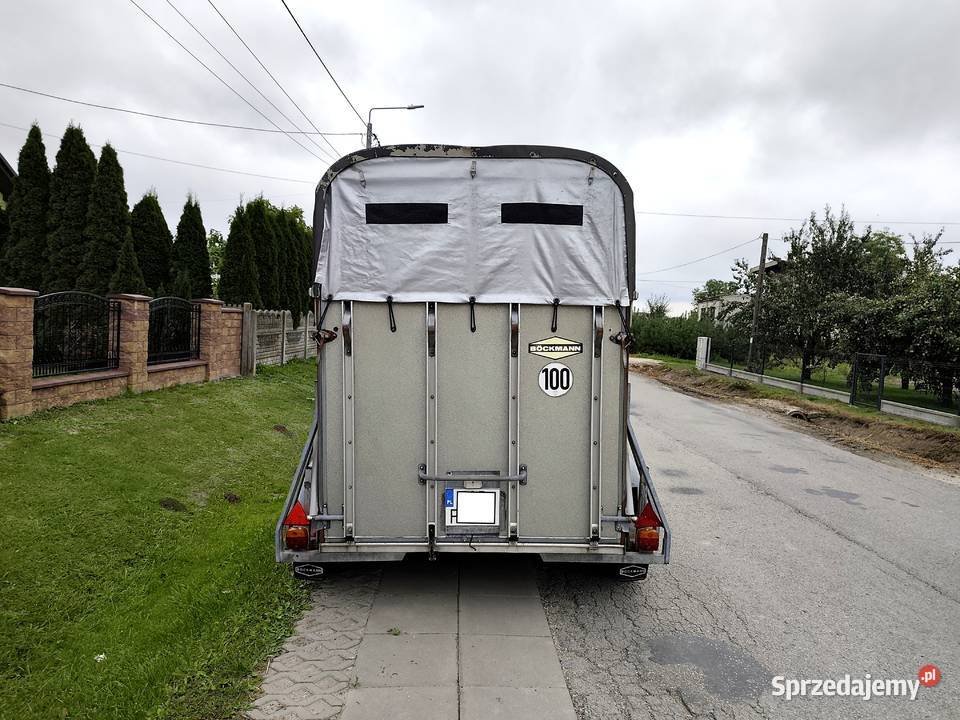 BUKMANKA BOCKMANN DMC 2000 Zarejestrowana Boeckman Wodzisław