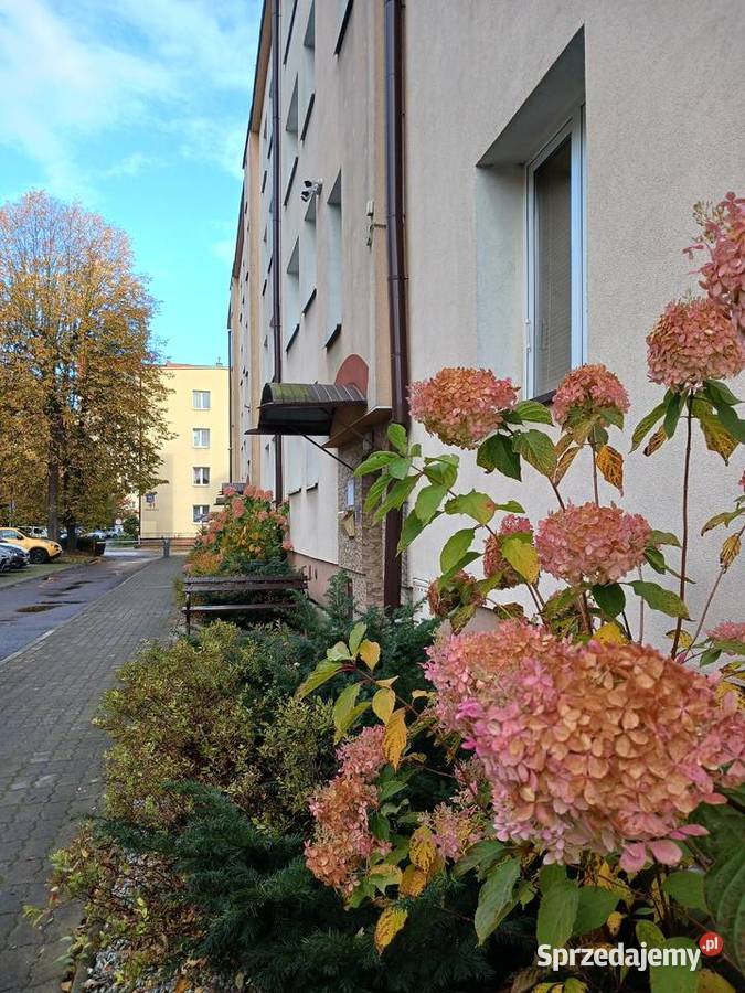 Hetmańska przestronne mieszkanie 68m2 centrum 10249zł/m2 podkarpackie Rzeszów sprzedam