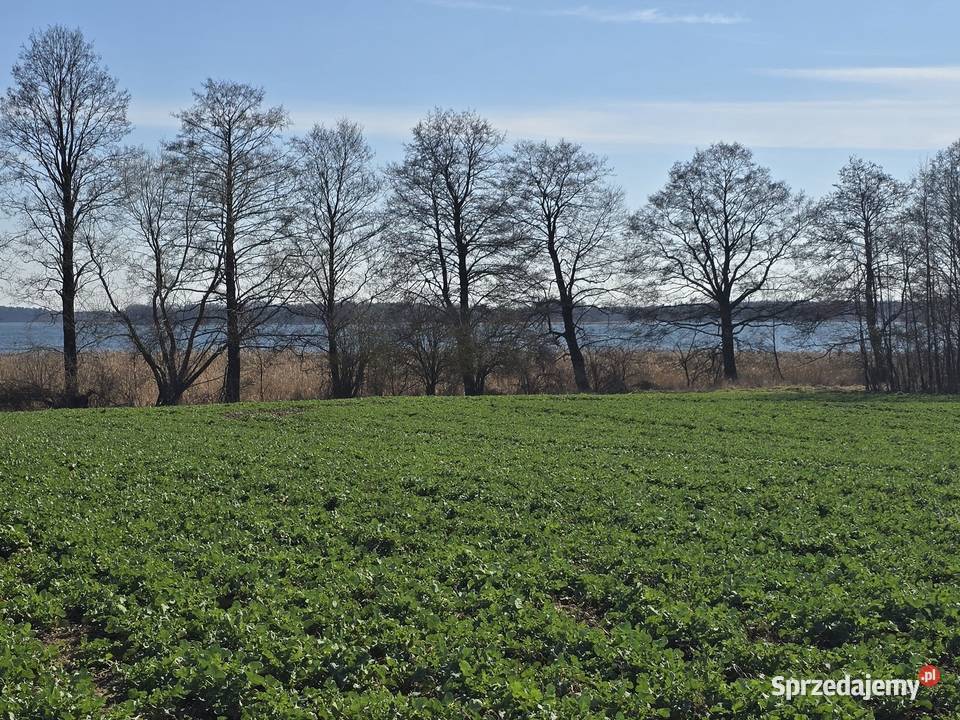 Z linią brzegową na szlaku 3690m2 Radzieje sprzedam
