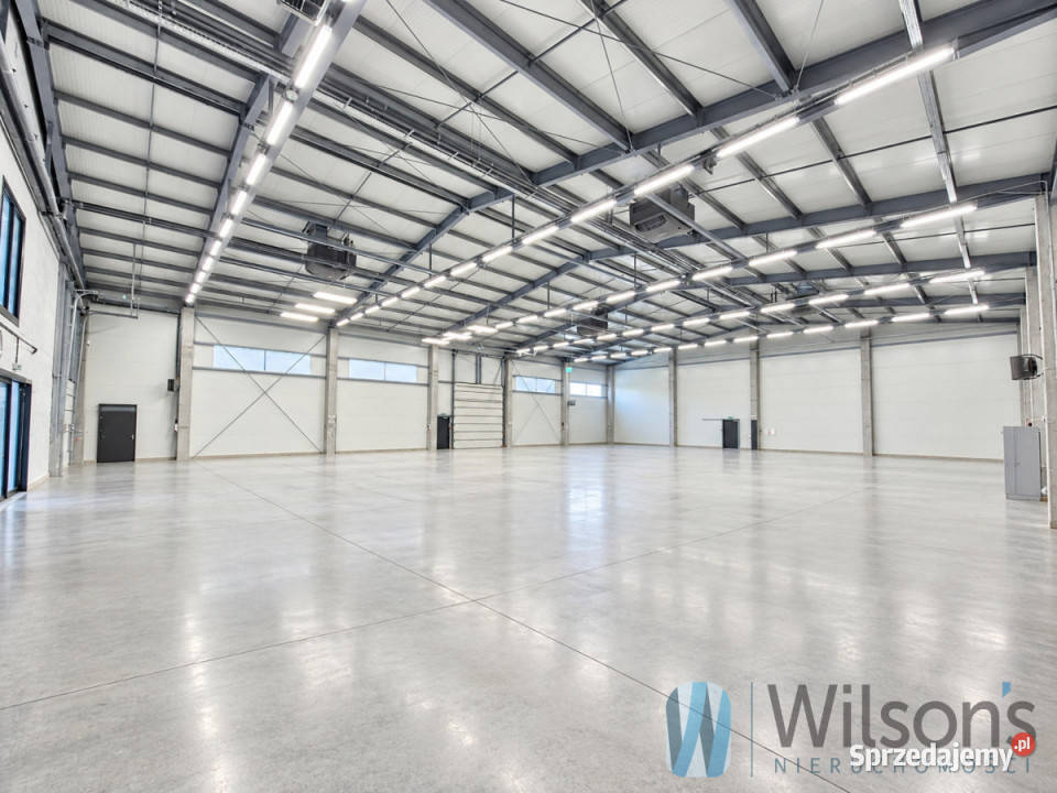 Ogłoszenie lokal Szeligi Bukowa 1100m2 1100m2 Macierzysz