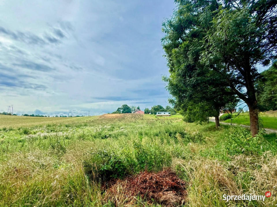 Duża działka 6000 m w Demlinie spokój natura i Demlin sprzedam