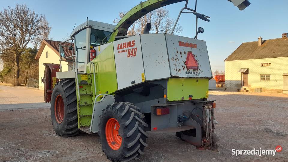 Sieczkarnia Class Jaguar 840 4x4 Heder do