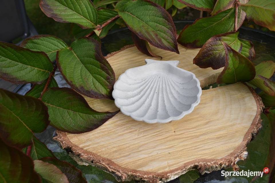 Muszelka betonowa Tłuszcz