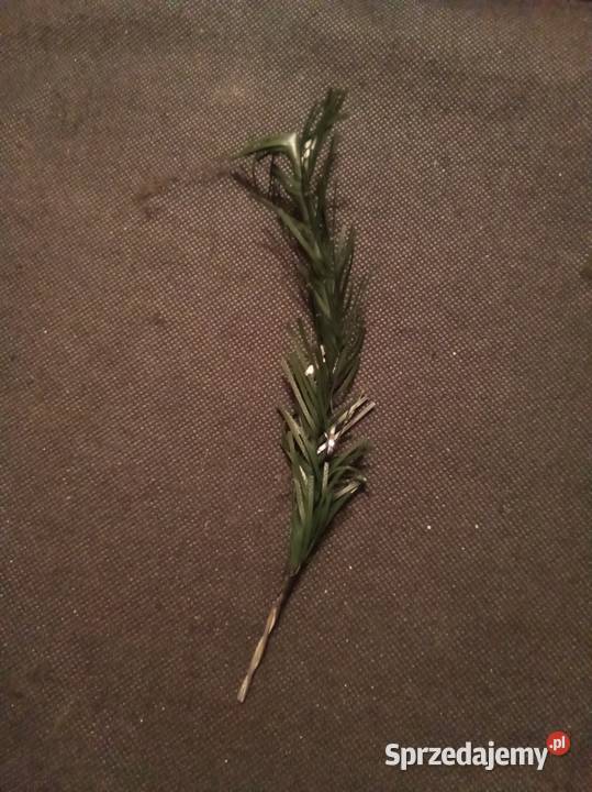 Sztuczna gałązka choinkowa mazowieckie Warszawa