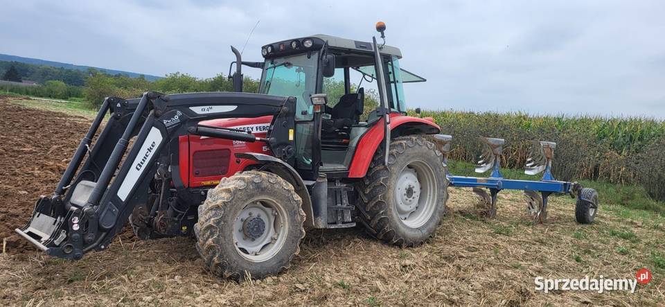 Massey ferguson 5455 Massey Ferguson Urzędów