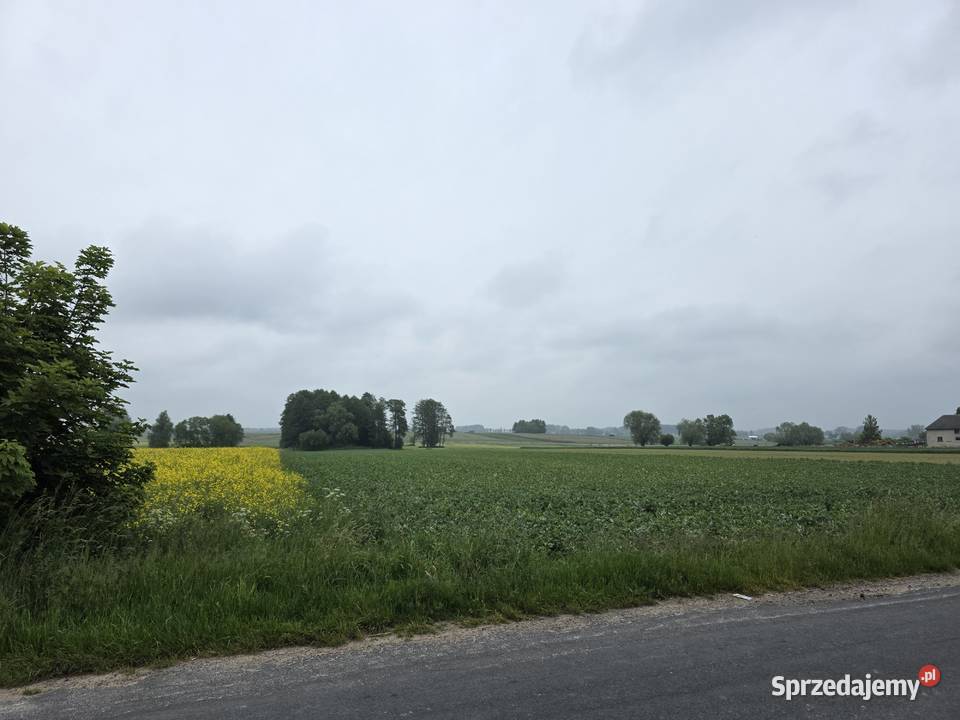 Działka rolna 8313m2 III klasa ziemi mazowieckie Regimin
