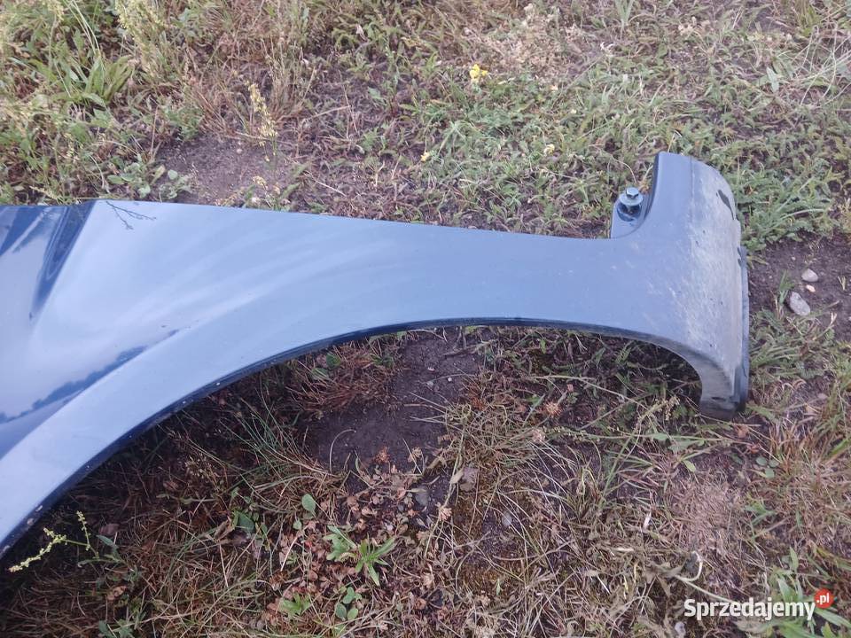 Błotnik Lewy Przedni Renault Clio III 3 NV432 Błotniki Radłów