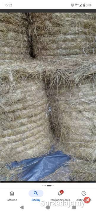 Siano w belach 4 2025r Michów