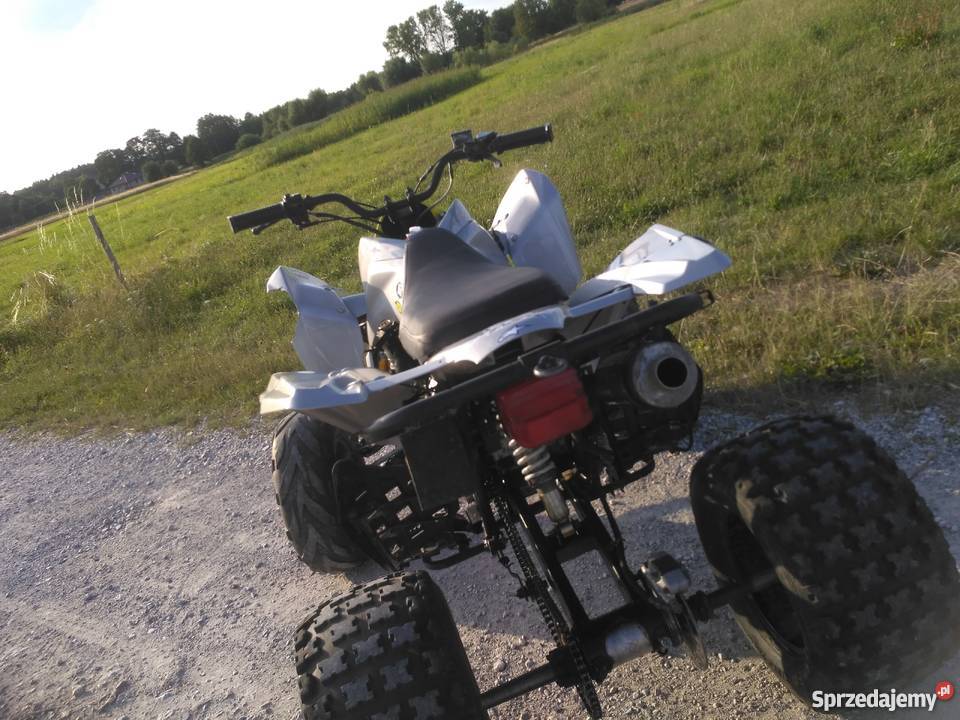 Quad 250 predator zongshen bashan loncin nie