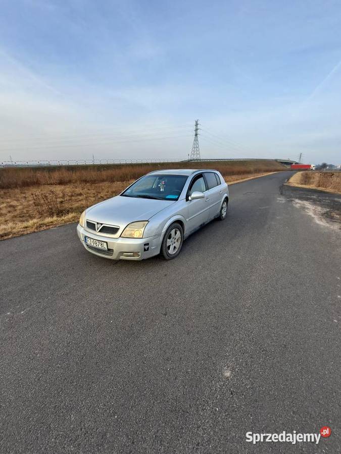 Opel Signum Signum wielkopolskie Nagradowice