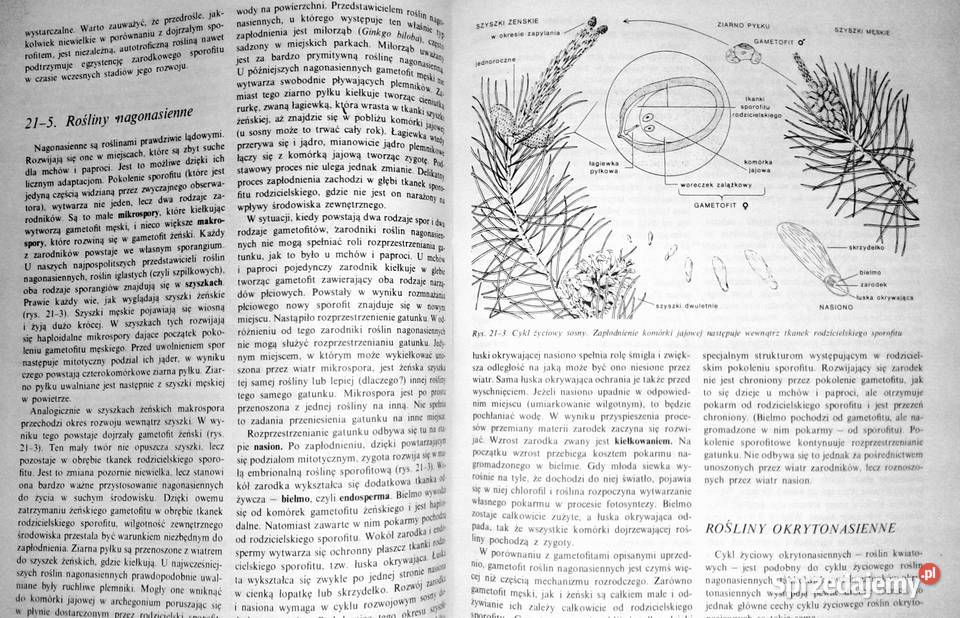 Biologia John W Kimball Chełm