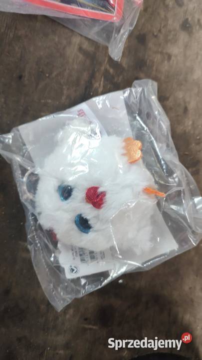 NICI Glubschis Kura Henlou wielkopolskie Książ Wielkopolski