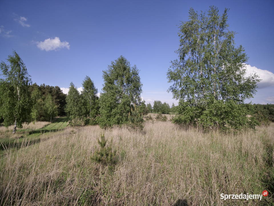 Matyldów jeziorem Zdworskim