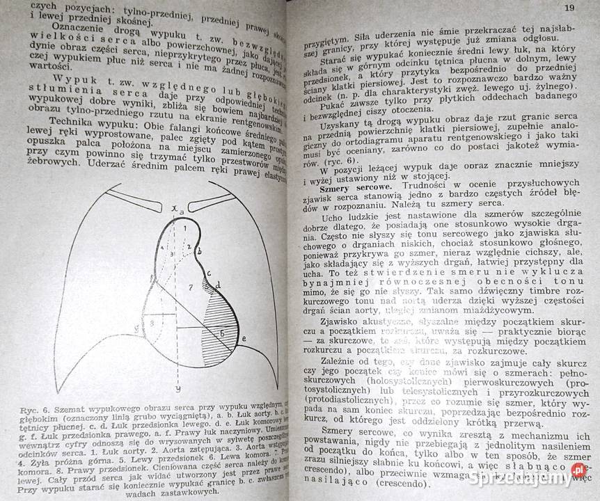 Diagnostyka i terapia chorób serca Witold Chełm sprzedam