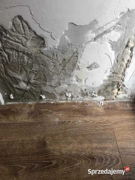 Iniekcja Krystaliczna podciąganie kapilarne Gdańsk usługi budowlane