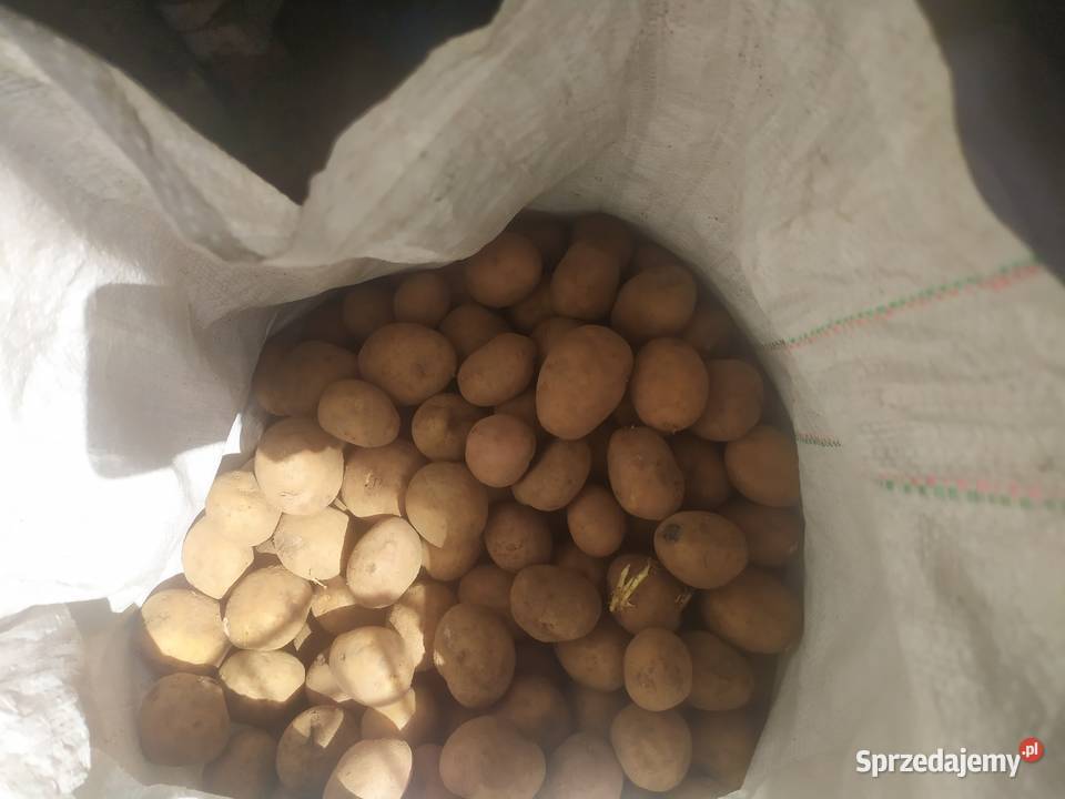 Sprzedam ziemniaki podlaskie Jedwabne sprzedam