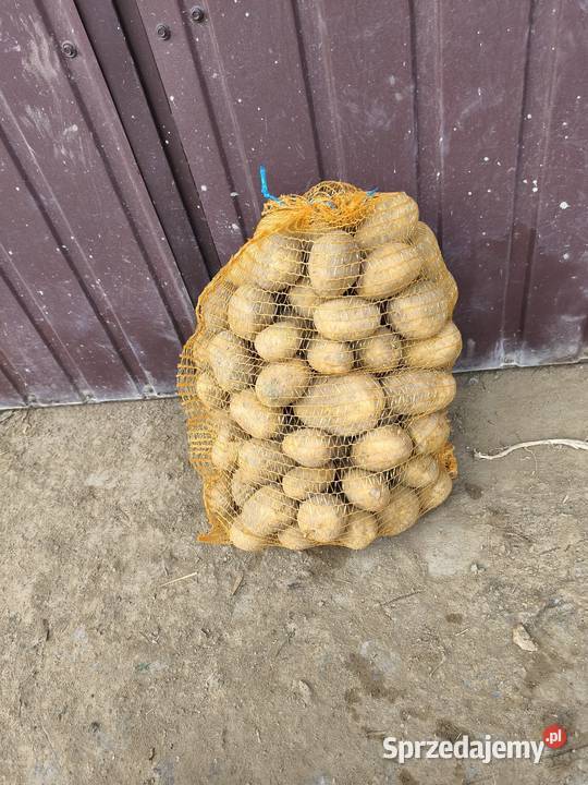 Ziemniaki Soraya kaliber 4580 małopolskie Bukowska Wola sprzedam