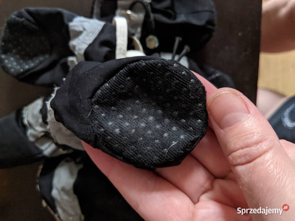 Buty do psów i kotów Poznań sprzedam
