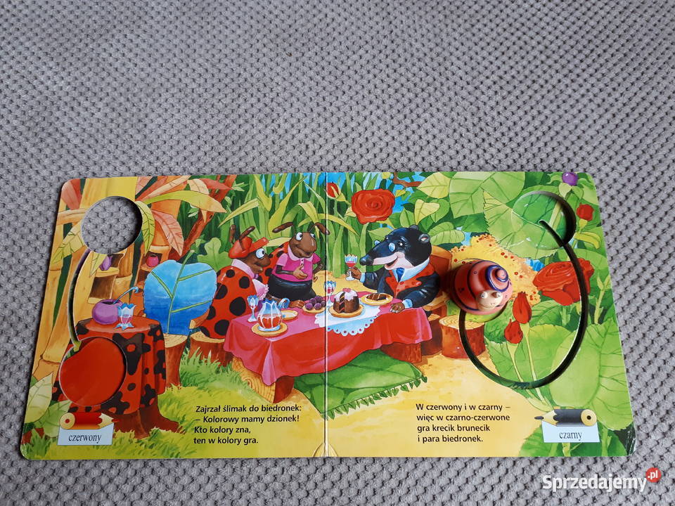 seria Mądry Przedszkolak KOLORY Wanda Chotomska Nauka czytania i liczenia Książki dla dzieci Kraków