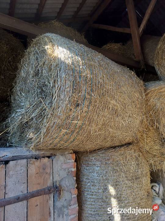 Sprzedam Miłochniewice