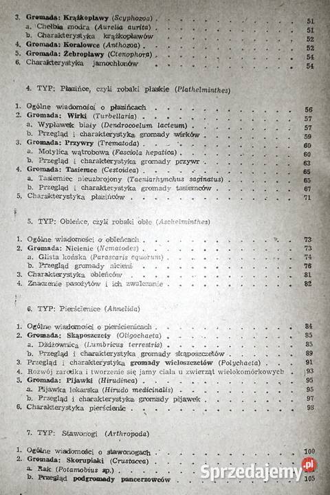 Zoologia J Dąbski Z Kozikowska J Wengris lubelskie Chełm sprzedam